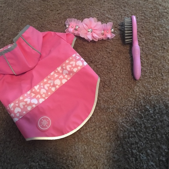 Puppy bundle! - Picture 1 of 3